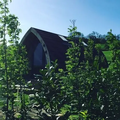 Oda, Özel Banyo (Daisy Pod)