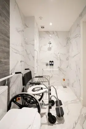 Deluxe Tek Büyük Yataklı Oda, Engellilere Uygun