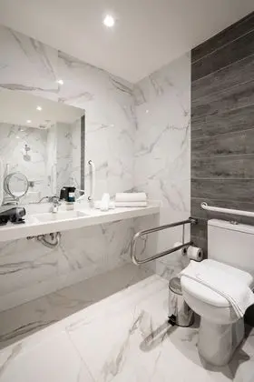 Deluxe Tek Büyük Yataklı Oda, Engellilere Uygun