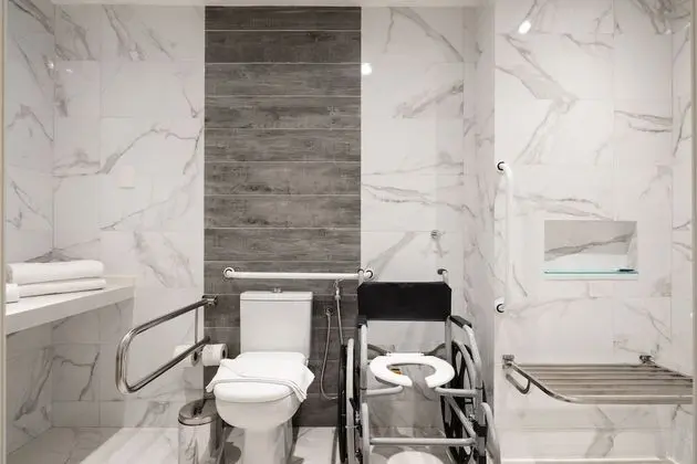 Deluxe Tek Büyük Yataklı Oda, Engellilere Uygun