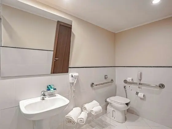 Superior Oda, 1 Çift Kişilik Yatak, Engellilere Uygun