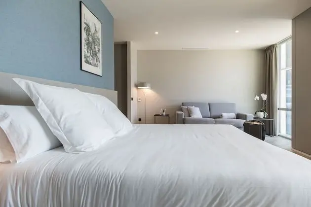 Superior Tek Büyük Yataklı Oda, 1 Büyük (Queen) Boy Yatak ve Çekyat, Özel Banyo