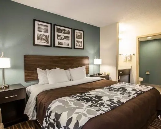 Oda, 1 En Büyük (King) Boy Yatak, Engellilere Uygun, Sigara İçilmez