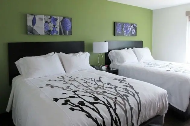 Standard Oda, 2 Büyük (Queen) Boy Yatak, Sigara İçilmez