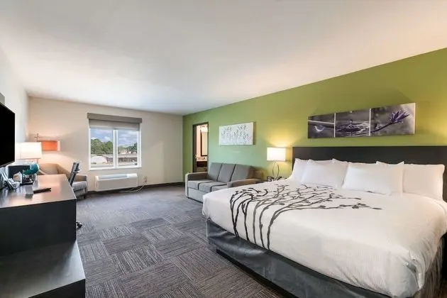 Süit, 1 En Büyük (King) Boy Yatak ve Çekyat, Sigara İçilmez