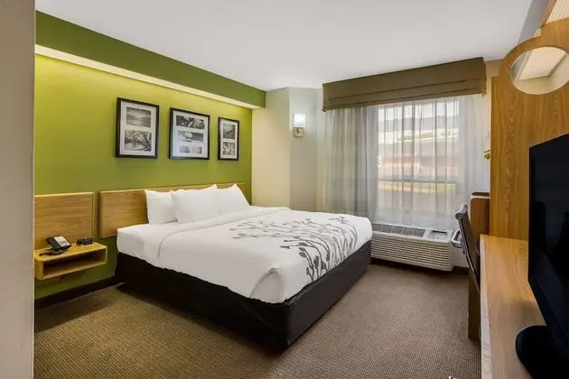 Oda, 1 En Büyük (King) Boy Yatak, Engellilere Uygun, Sigara İçilmez