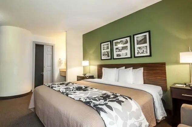Standard Oda, 1 En Büyük (King) Boy Yatak, Sigara İçilmez