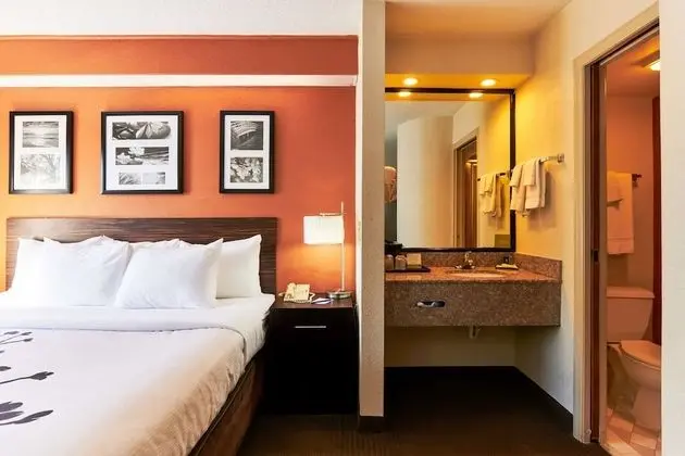 Oda, 1 En Büyük (King) Boy Yatak, Sigara İçilmez