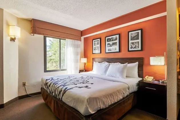 Oda, 1 En Büyük (King) Boy Yatak, Sigara İçilmez