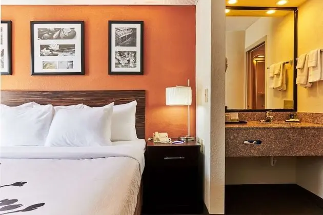 Standard Oda, 1 En Büyük (King) Boy Yatak, Sigara İçilmez