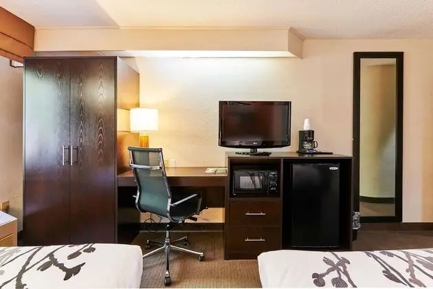 Standard Oda, 2 Çift Kişilik Yatak, Sigara İçilmez