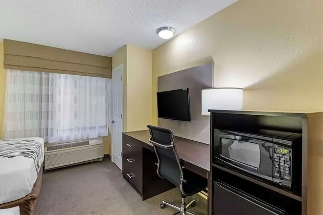Oda, 2 Büyük (Queen) Boy Yatak, Sigara İçilmez (Pet-Friendly)