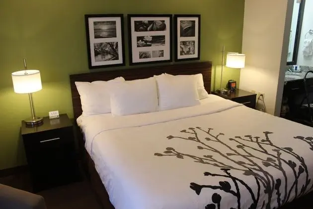 Standard Oda, 1 En Büyük (King) Boy Yatak, Sigara İçilmez