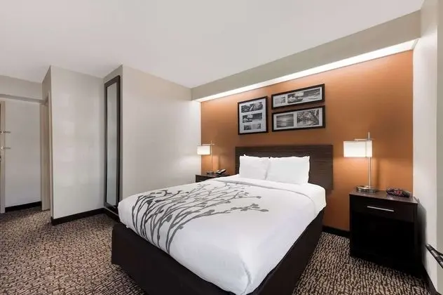 Oda, 1 Büyük (Queen) Boy Yatak, Engellilere Uygun