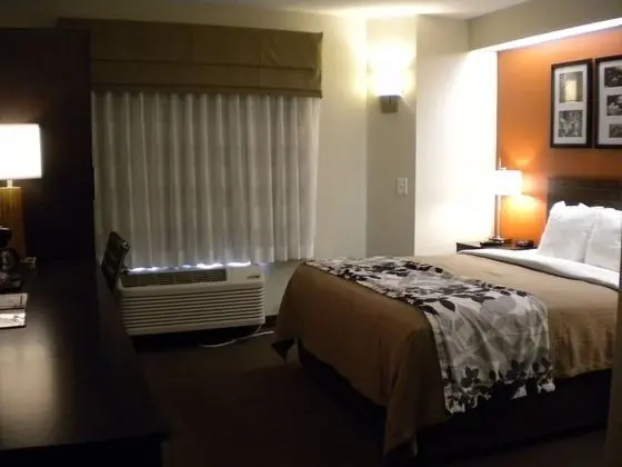 Standard Oda, 1 Büyük (Queen) Boy Yatak, Sigara İçilmez