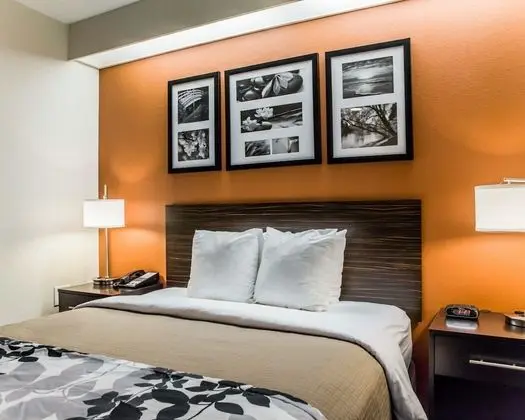 Standard Oda, 1 Büyük (Queen) Boy Yatak, Sigara İçilmez