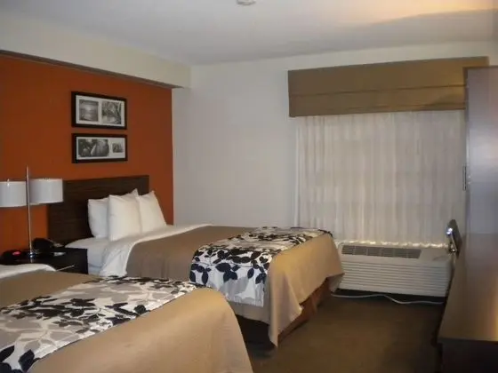 Standard Oda, 2 Çift Kişilik Yatak