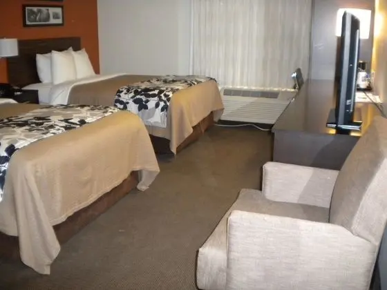 Standard Oda, 2 Çift Kişilik Yatak