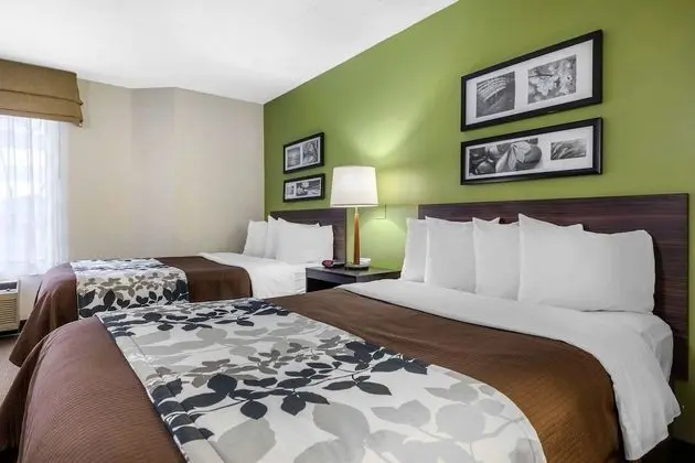 Standard Tek Büyük Yataklı Oda, 2 Çift Kişilik Yatak, Sigara İçilmez