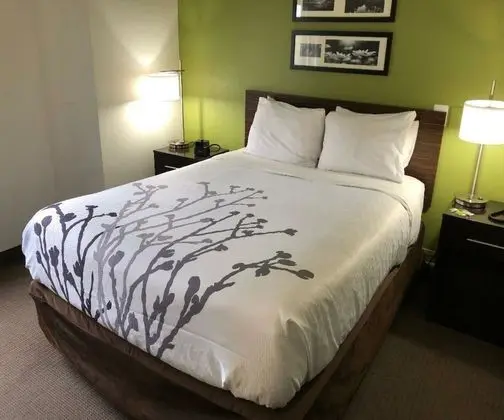 1 King Bed, Nonsmoking, Upgrade