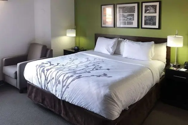 1 King Bed, Nonsmoking, Upgrade