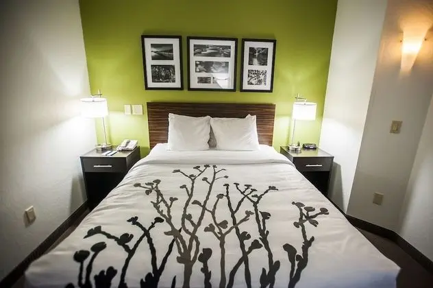 Oda, 1 Büyük (Queen) Boy Yatak, Engellilere Uygun, Sigara İçilmez (Accessible Bathtub)