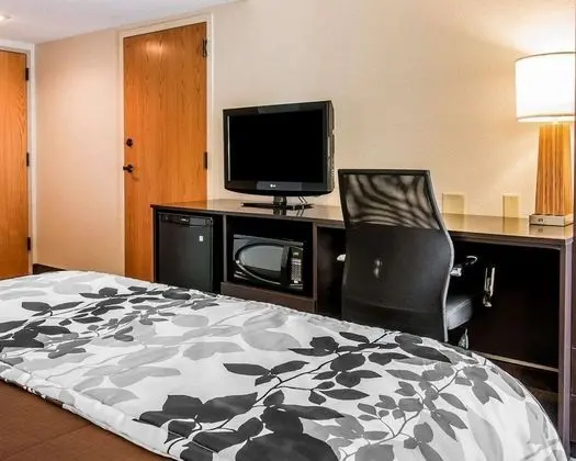 Oda, 1 Büyük (Queen) Boy Yatak, Engellilere Uygun, Sigara İçilmez (Accessible Bathtub)