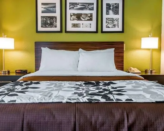 Oda, 1 Büyük (Queen) Boy Yatak, Engellilere Uygun, Sigara İçilmez (Accessible Bathtub)