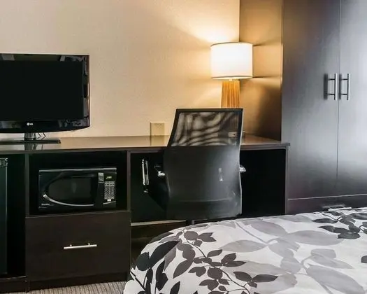 Oda, 1 Büyük (Queen) Boy Yatak, Engellilere Uygun, Sigara İçilmez (Accessible Bathtub)