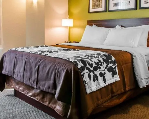 Oda, 1 Büyük (Queen) Boy Yatak, Engellilere Uygun, Sigara İçilmez (Accessible Bathtub)