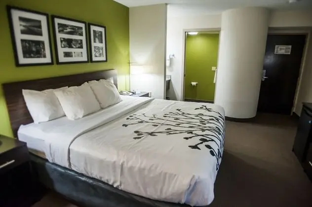 Standard Oda, 1 En Büyük (King) Boy Yatak, Sigara İçilmez