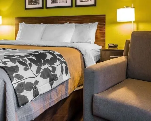 Standard Oda, 1 En Büyük (King) Boy Yatak, Sigara İçilmez