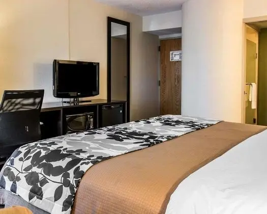 Standard Oda, 1 En Büyük (King) Boy Yatak, Sigara İçilmez