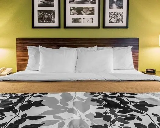 Standard Oda, 1 En Büyük (King) Boy Yatak, Sigara İçilmez