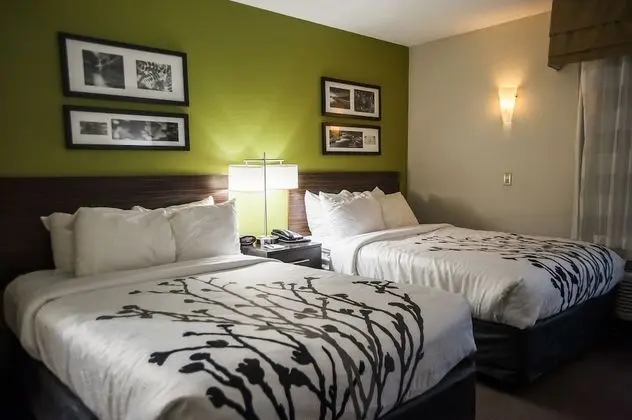 Standard Tek Büyük Yataklı Oda, 2 Çift Kişilik Yatak, Sigara İçilmez