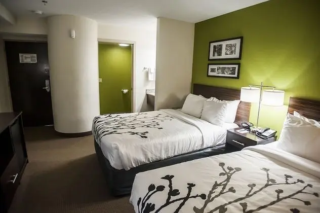 Standard Tek Büyük Yataklı Oda, 2 Çift Kişilik Yatak, Sigara İçilmez