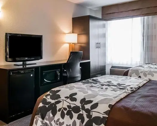 Standard Tek Büyük Yataklı Oda, 2 Çift Kişilik Yatak, Sigara İçilmez