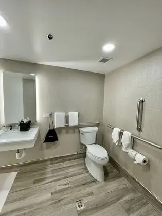 Standard Oda, 1 En Büyük (King) Boy Yatak, Engellilere Uygun, Sigara İçilmez (Roll-In Shower)