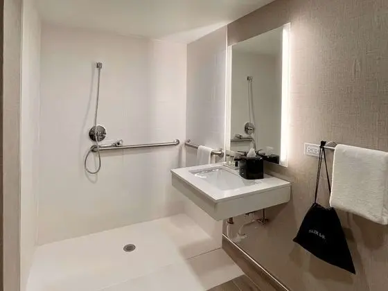 Standard Oda, 1 En Büyük (King) Boy Yatak, Engellilere Uygun, Sigara İçilmez (Roll-In Shower)
