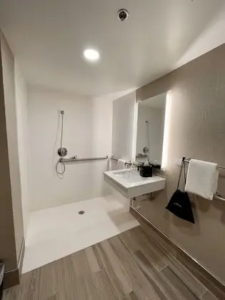 Standard Oda, 1 En Büyük (King) Boy Yatak, Engellilere Uygun, Sigara İçilmez (Roll-In Shower)