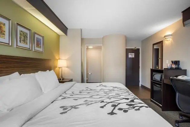 Upgrade Room, King Bed with Sofabed, Non Smoking