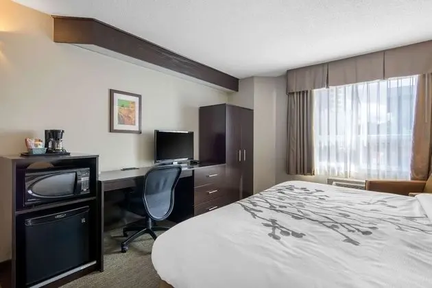 Upgrade Room, King Bed with Sofabed, Non Smoking