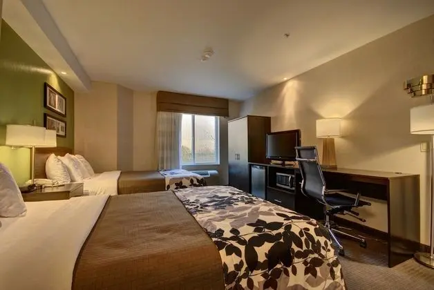 Double Room, 2 Double Beds, Non-Smoking, Refrigerator & Microwave