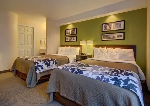 Double Room, 2 Double Beds, Non-Smoking, Refrigerator & Microwave