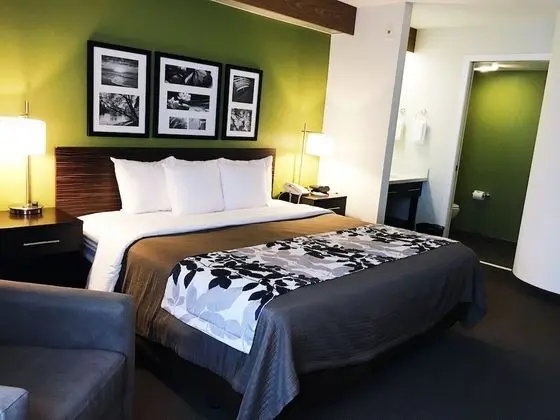 Standard Room, 1 King Bed, Non-Smoking, Refrigerator & Microwave