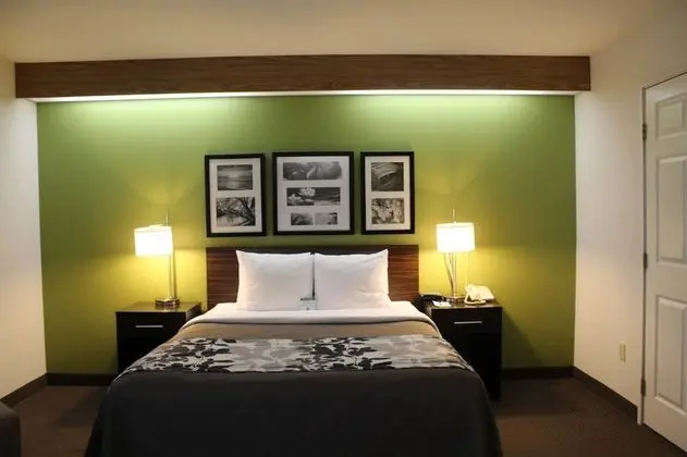 Standard Room, 1 King Bed, Non-Smoking, Refrigerator & Microwave