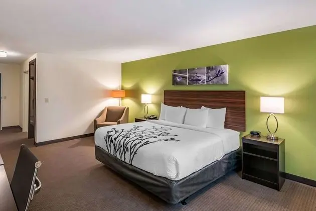 Oda, 1 En Büyük (King) Boy Yatak, Engellilere Uygun, Sigara İçilmez