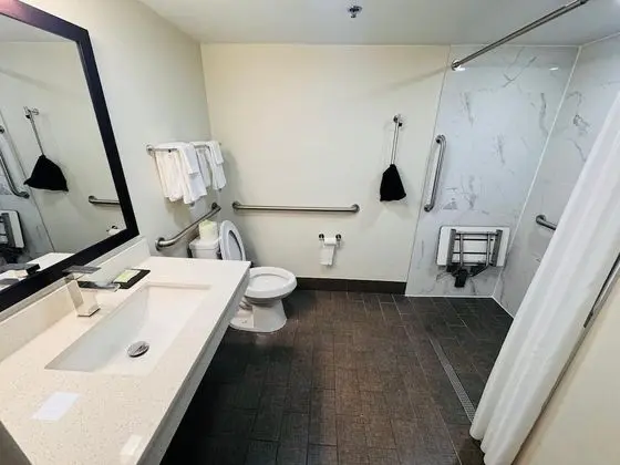 Engellilere uygun banyo