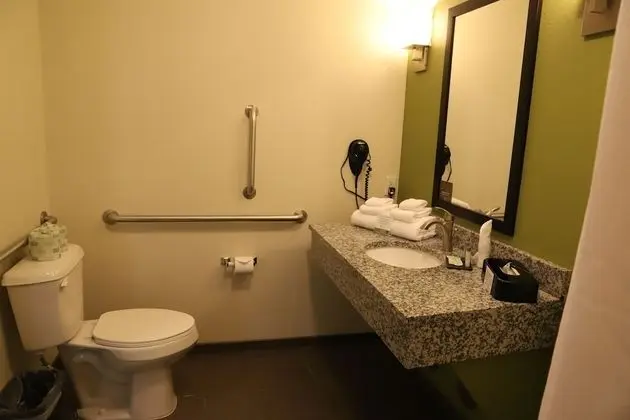 Oda, 1 En Büyük (King) Boy Yatak, Engellilere Uygun, Sigara İçilmez (Roll-In Shower)
