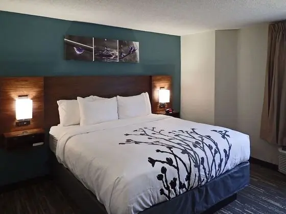 Standard Oda, 1 En Büyük (King) Boy Yatak, Sigara İçilmez